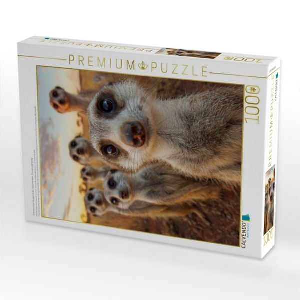 Produktbild: CALVENDO Puzzle Erdm&auml;nnchen Gruppe in der Savanne beim Sonnenuntergang | 1000 Teile Lege-Gr&ouml;&szlig;e 64x48cm Foto-Puzzle f&uuml;r gl&uuml;ckliche Stunden
