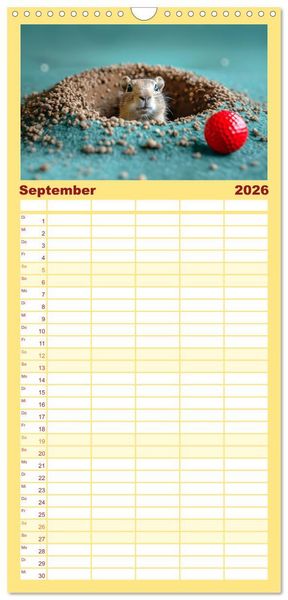 Produktbild: Familienplaner 2026 - Tierische Balljunkies mit 5 Spalten (Wandkalender, 21 x 45 cm) CALVENDO