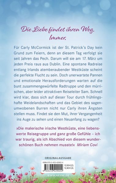 Produktbild: Irish Kisses &ndash; Mein Weg zu dir
