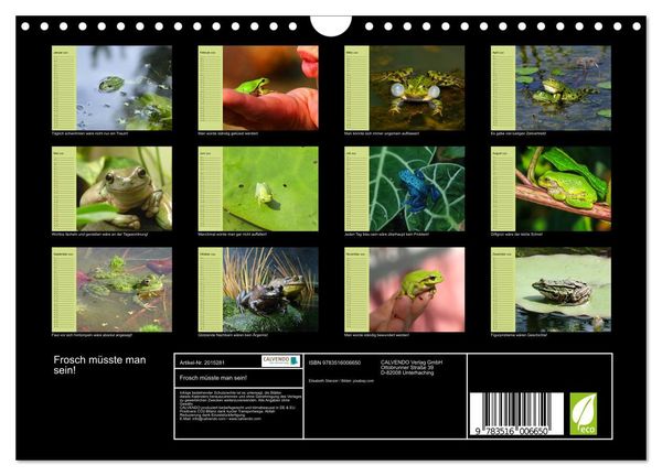 Produktbild: Frosch m&uuml;sste man sein! (Wandkalender 2026 DIN A4 quer), CALVENDO Monatskalender