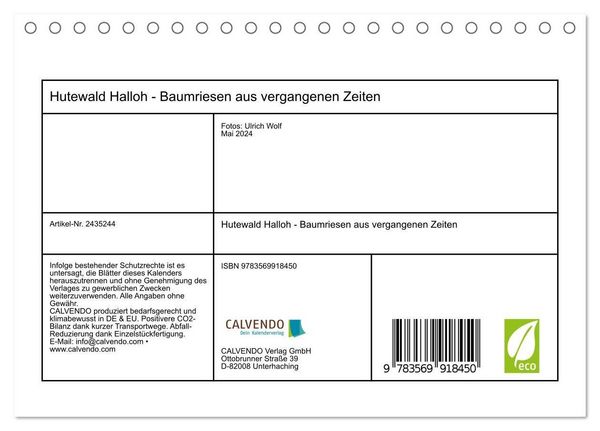 Produktbild: Hutewald Halloh - Baumriesen aus vergangenen Zeiten (Tischkalender 2027 DIN A5 quer), CALVENDO Monatskalender