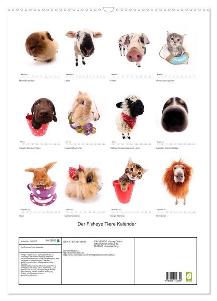 Produktbild: Der Fisheye Tiere Kalender (Wandkalender 2026 DIN A2 hoch), CALVENDO Monatskalender