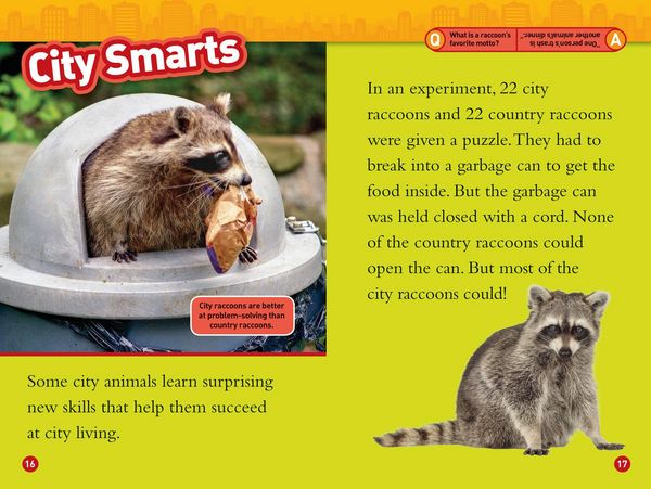 Produktbild: Animals in the City (National Geographic Kids Readers, Level 2)
