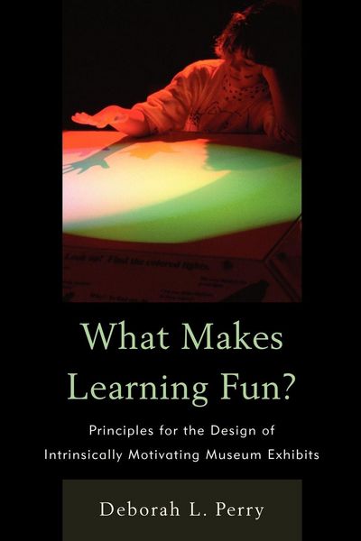 Produktbild: What Makes Learning Fun?