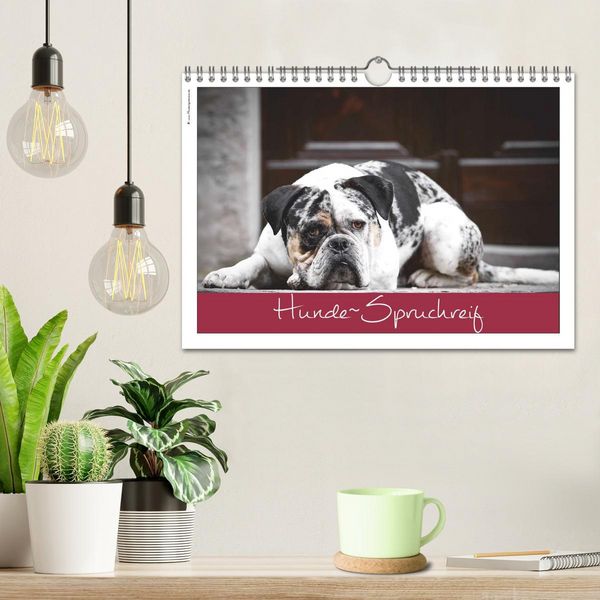 Produktbild: Hunde-Spruchreif (Wandkalender 2026 DIN A4 quer), CALVENDO Monatskalender