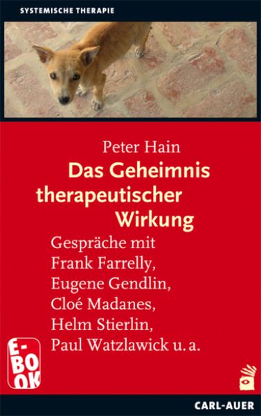 Produktbild: Das Geheimnis therapeutischer Wirkung
