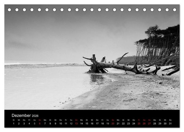 Produktbild: Strandspaziergang an der Ostsee (Tischkalender 2026 DIN A5 quer), CALVENDO Monatskalender