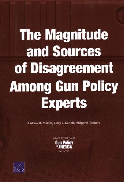 Produktbild: The Magnitude and Sources of Disagreement Among Gun Policy Experts