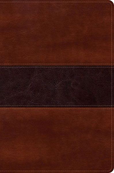 Produktbild: Rvr 1960 Biblia del Pescador Letra Grande, Caoba S&iacute;mil Piel