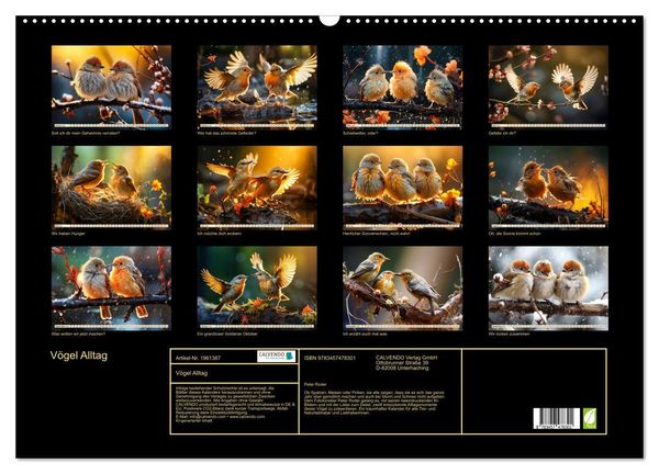 Produktbild: V&ouml;gel Alltag (Wandkalender 2026 DIN A2 quer), CALVENDO Monatskalender