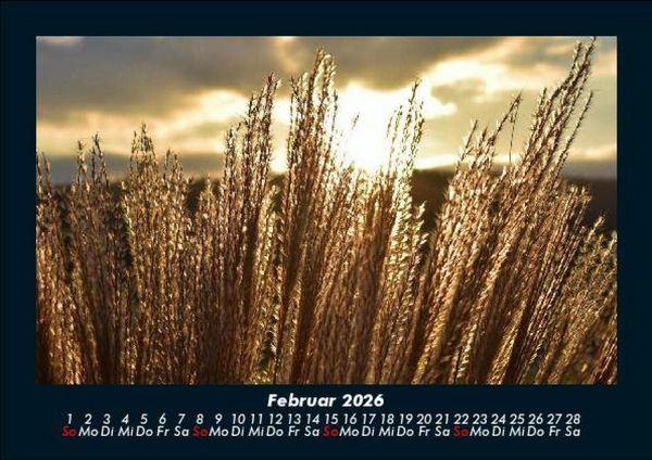 Produktbild: Bilder der Natur 2026 Fotokalender DIN A5