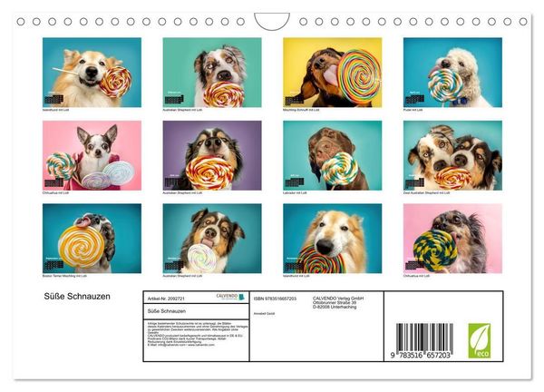 Produktbild: S&uuml;&szlig;e Schnauzen (Wandkalender 2026 DIN A4 quer), CALVENDO Monatskalender
