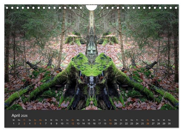Produktbild: Spiegelwelten - Im Reich der Naturwesen (Wandkalender 2026 DIN A4 quer), CALVENDO Monatskalender