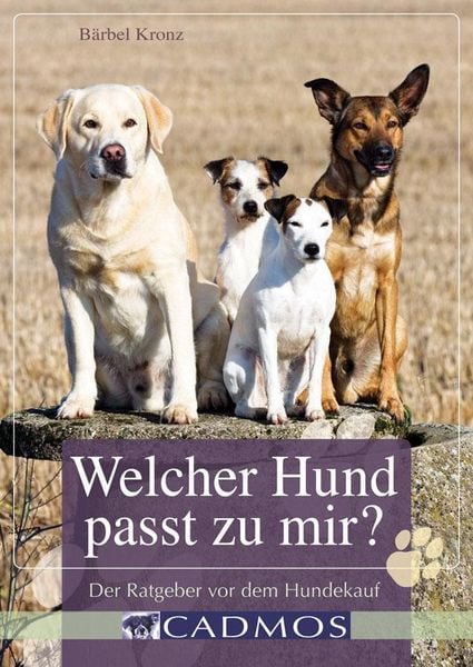 Produktbild: Welcher Hund passt zu mir?