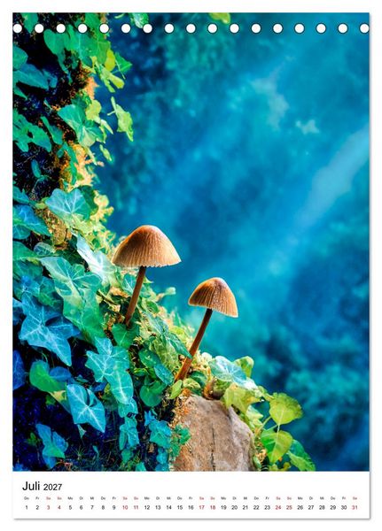 Produktbild: Pilzzeit - Leben auf dem Waldboden (Tischkalender 2027 DIN A5 hoch), CALVENDO Monatskalender
