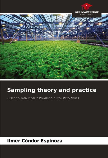 Produktbild: Sampling theory and practice