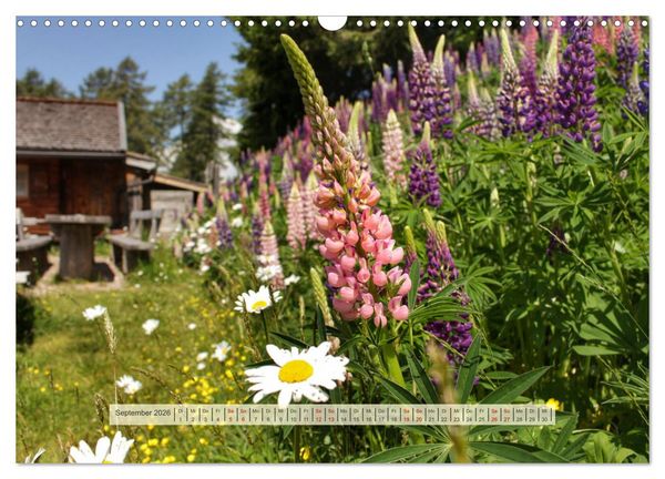 Produktbild: Almengl&uuml;ck (Wandkalender 2026 DIN A3 quer), CALVENDO Monatskalender