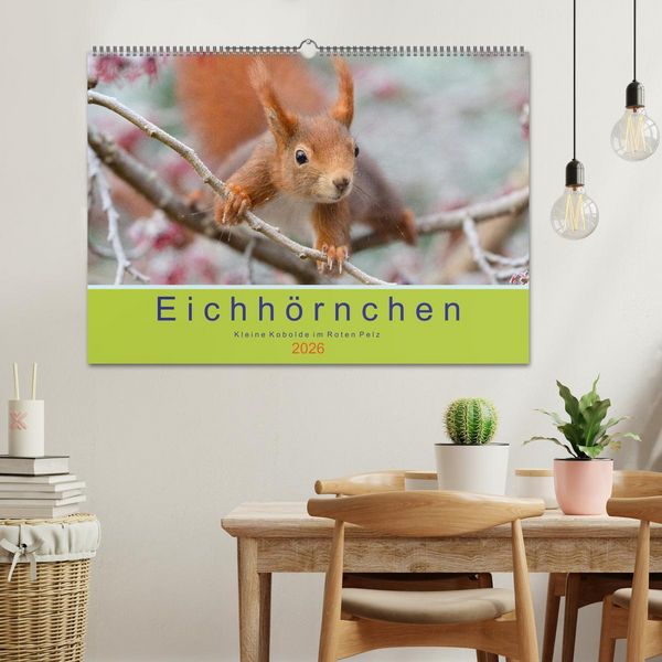 Produktbild: Eichh&ouml;rnchen - Kleine Kobolde im Roten Pelz (Wandkalender 2026 DIN A2 quer), CALVENDO Monatskalender