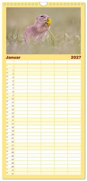 Produktbild: Familienplaner 2027 - Zauberhafte Ziesel mit 5 Spalten (Wandkalender, 21 x 45 cm) CALVENDO