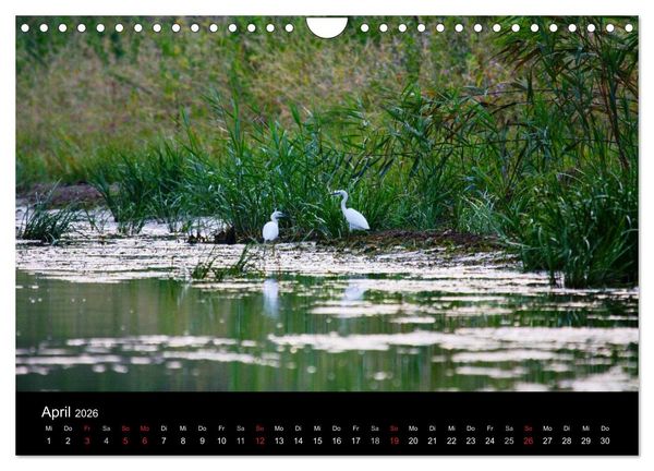 Produktbild: Donaudelta (Wandkalender 2026 DIN A4 quer), CALVENDO Monatskalender