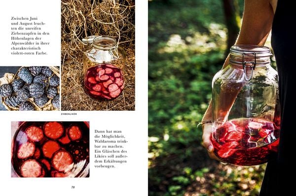 Produktbild: Das Wald-Kochbuch
