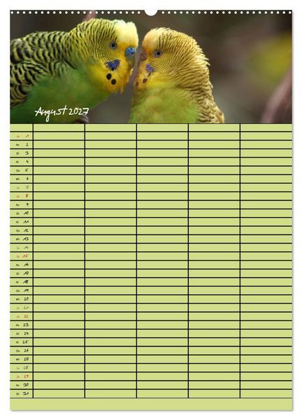 Produktbild: Der Wellensittich-Familienplaner (hochwertiger Premium Wandkalender 2027 DIN A2 hoch), Kunstdruck in Hochglanz