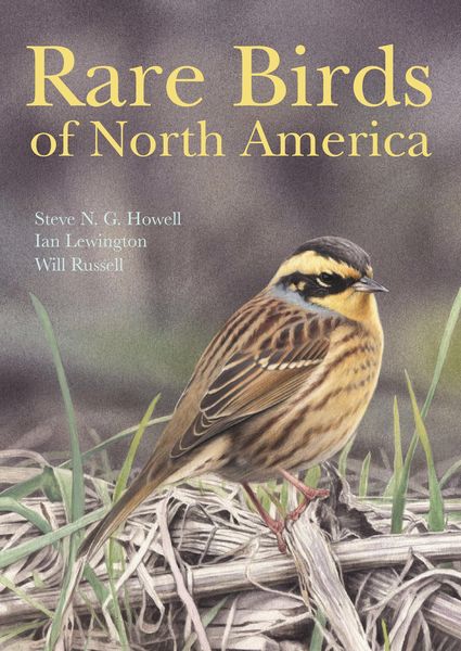 Produktbild: Rare Birds of North America