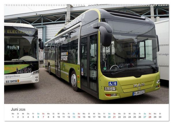 Produktbild: Omnibusse im Fokus (Wandkalender 2026 DIN A2 quer), CALVENDO Monatskalender