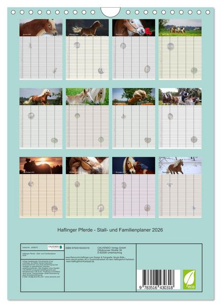 Produktbild: Haflinger Pferde - Stall- und Familienplaner 2026 (Wandkalender 2026 DIN A4 hoch), CALVENDO Monatskalender