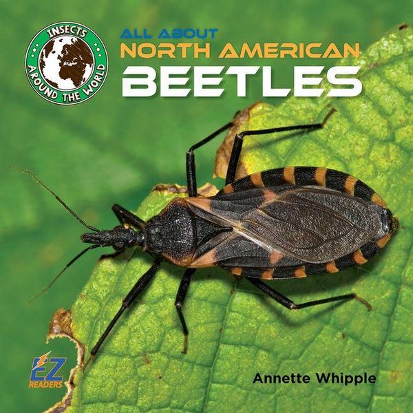 Produktbild: All about North American Beetles