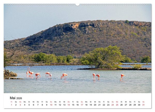 Produktbild: Curacao, die facettenreiche Karibikinsel (Wandkalender 2026 DIN A2 quer), CALVENDO Monatskalender