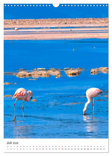 Produktbild: Chile - Ein unentdecktes Paradies. (Wandkalender 2026 DIN A3 hoch), CALVENDO Monatskalender