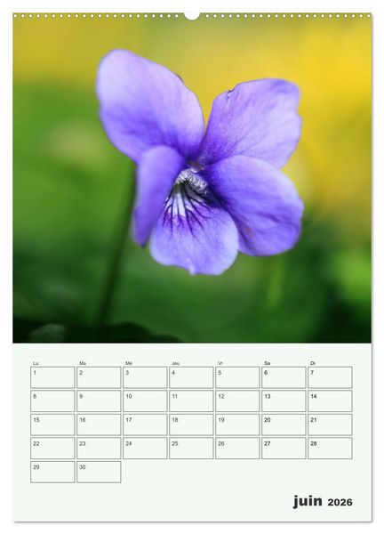 Produktbild: Fleurs en toute simplicit&eacute; - Beaut&eacute; minimaliste (Calendrier mural 2026 DIN A2 horizontal) calendrier de bureau