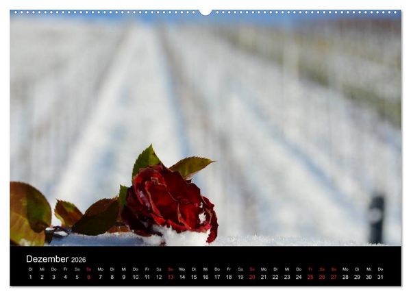 Produktbild: W.EINBLICK (Wandkalender 2026 DIN A2 quer), CALVENDO Monatskalender