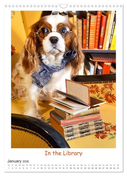 Produktbild: The Adventurous Life of two Daring Cavaliers (Wall Calendar 2026 DIN A3 portrait), CALVENDO 12 Month Wall Calendar