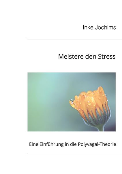 Produktbild: Meistere den Stress