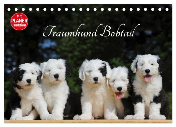 Traumhund Bobtail (Tischkalender 2026 DIN A5 quer), CALVENDO Monatskalender