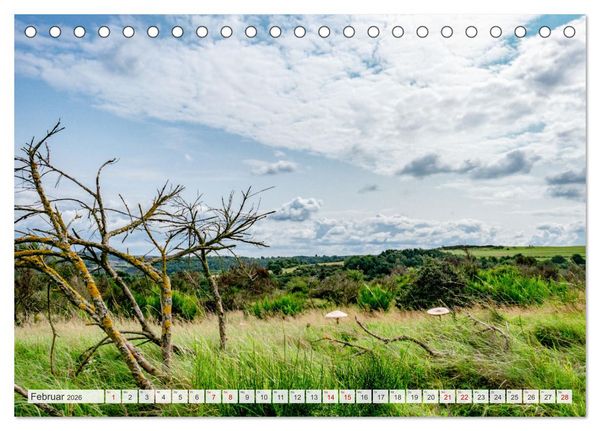 Produktbild: Nationalpark Eifel - Sch&ouml;ne Tage im Gr&uuml;nen (Tischkalender 2026 DIN A5 quer), CALVENDO Monatskalender
