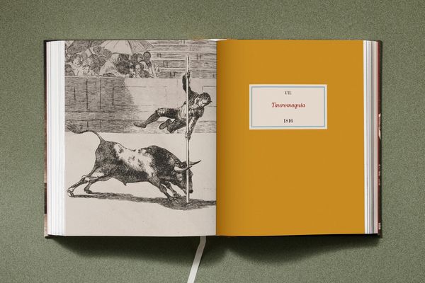 Produktbild: Goya