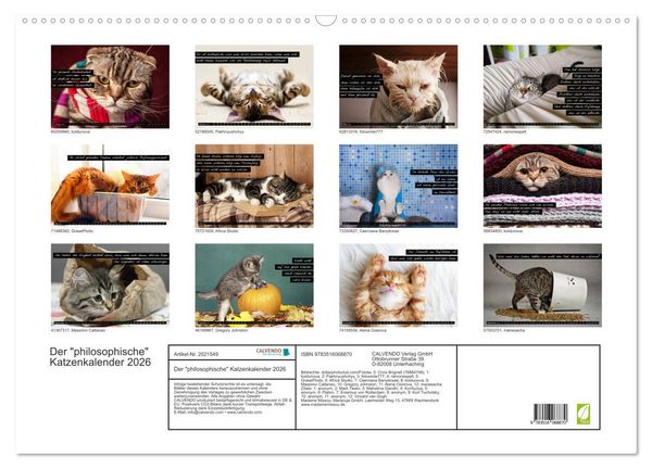 Produktbild: Der "philosophische" Katzenkalender 2026 (Wandkalender 2026 DIN A2 quer), CALVENDO Monatskalender