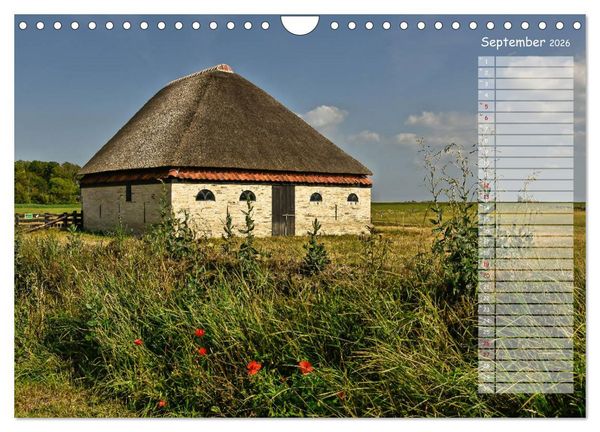 Produktbild: Ein Sommer auf Texel (Wandkalender 2026 DIN A4 quer), CALVENDO Monatskalender