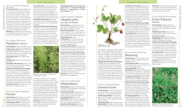 Produktbild: Das gro&szlig;e Lexikon der Heilpflanzen
