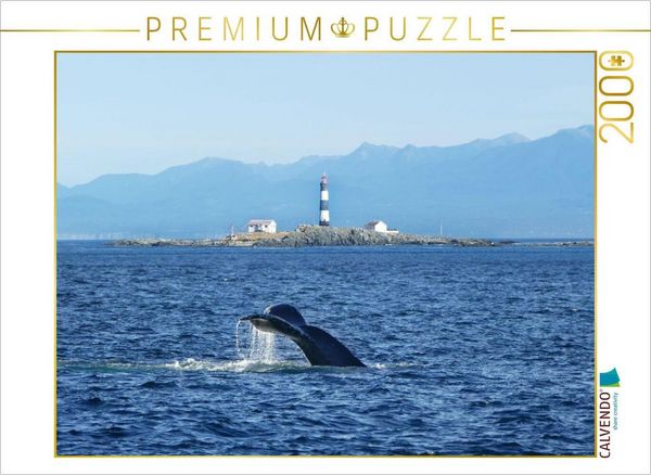 CALVENDO Puzzle Whale Watching am Race Rocks Lighthouse in British Columbia | 2000 Teile Lege-Größe 90x67cm Foto-Puzzle für glückliche Stunden