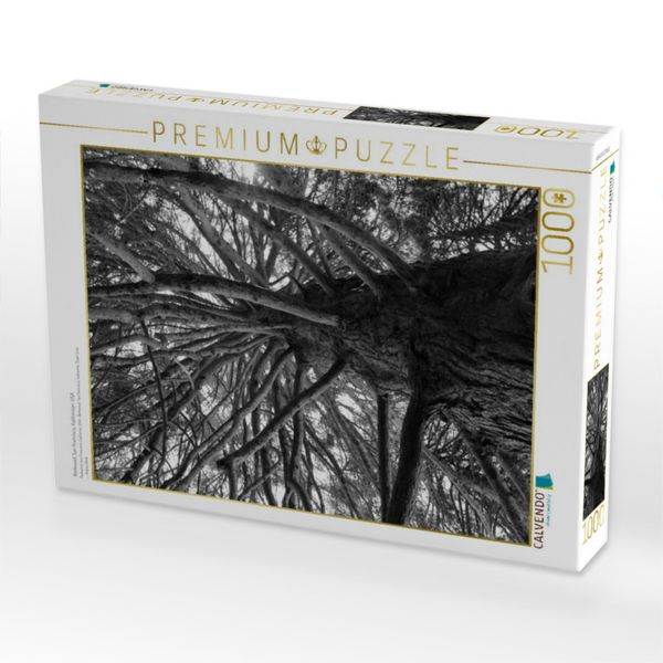 Produktbild: CALVENDO Puzzle Redwood, San Francisco, Kalifornien, USA | 1000 Teile Lege-Gr&ouml;&szlig;e 64x48cm Foto-Puzzle f&uuml;r gl&uuml;ckliche Stunden