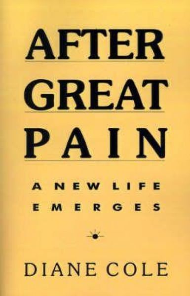 Produktbild: After Great Pain