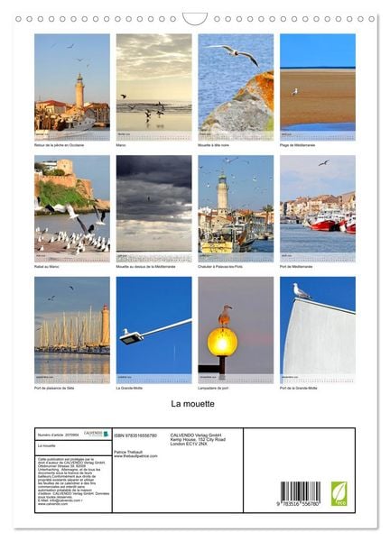 Produktbild: La mouette (Calendrier mural 2026 DIN A3 horizontal), CALVENDO calendrier mensuel