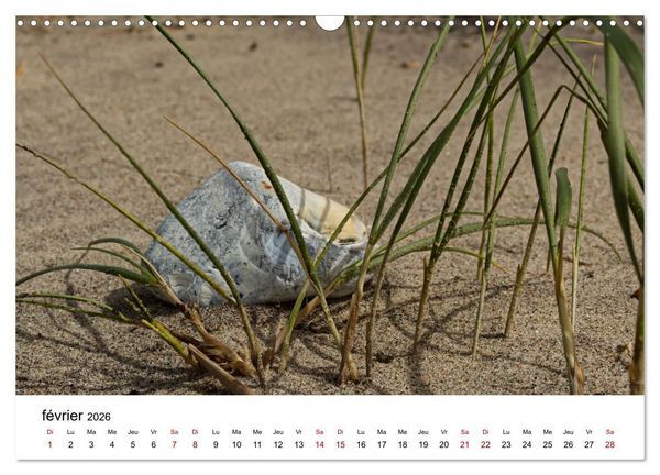 Produktbild: Dunes et mer - Une exp&eacute;rience nature (Calendrier mural 2026 DIN A3 vertical), CALVENDO calendrier mensuel