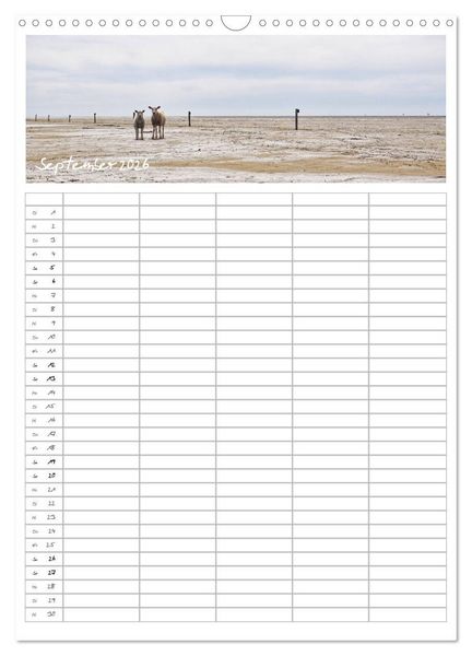 Produktbild: Nordfriesland - Familienplaner (Wandkalender 2026 DIN A3 hoch), CALVENDO Monatskalender
