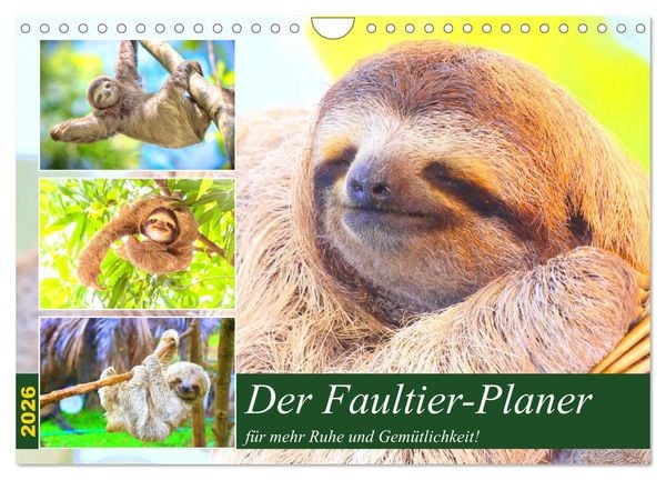 Produktbild: Der Faultier-Planer f&uuml;r mehr Ruhe und Gem&uuml;tlichkeit! (Wandkalender 2026 DIN A4 quer), CALVENDO Monatskalender