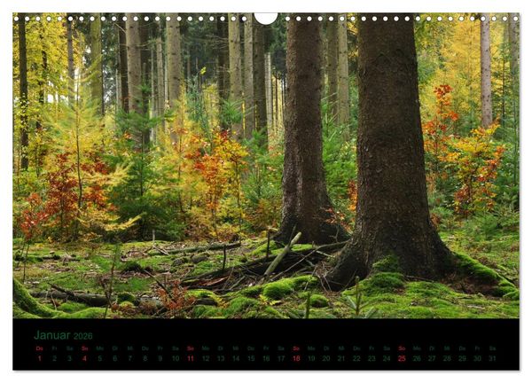 Produktbild: Baumgefl&uuml;ster (Wandkalender 2026 DIN A3 quer), CALVENDO Monatskalender